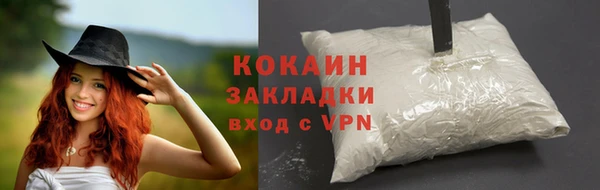 твердый Михайловск