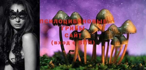 первитин Михайлов
