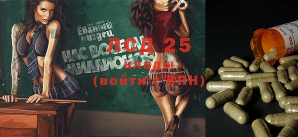 твердый Михайловск