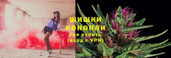 первитин Михайлов