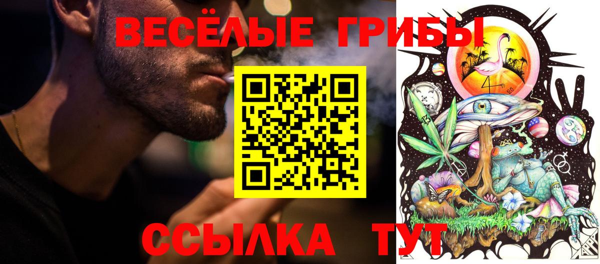 Зерноград  Псилоцибиновые грибы MAGIC MUSHROOMS  Псилоцибиновые грибы MAGIC MUSHROOMS  Вход с VPN 