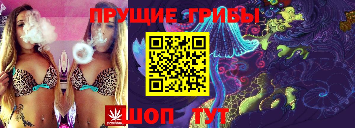Галлюциногенные грибы ЛСД Зерноград