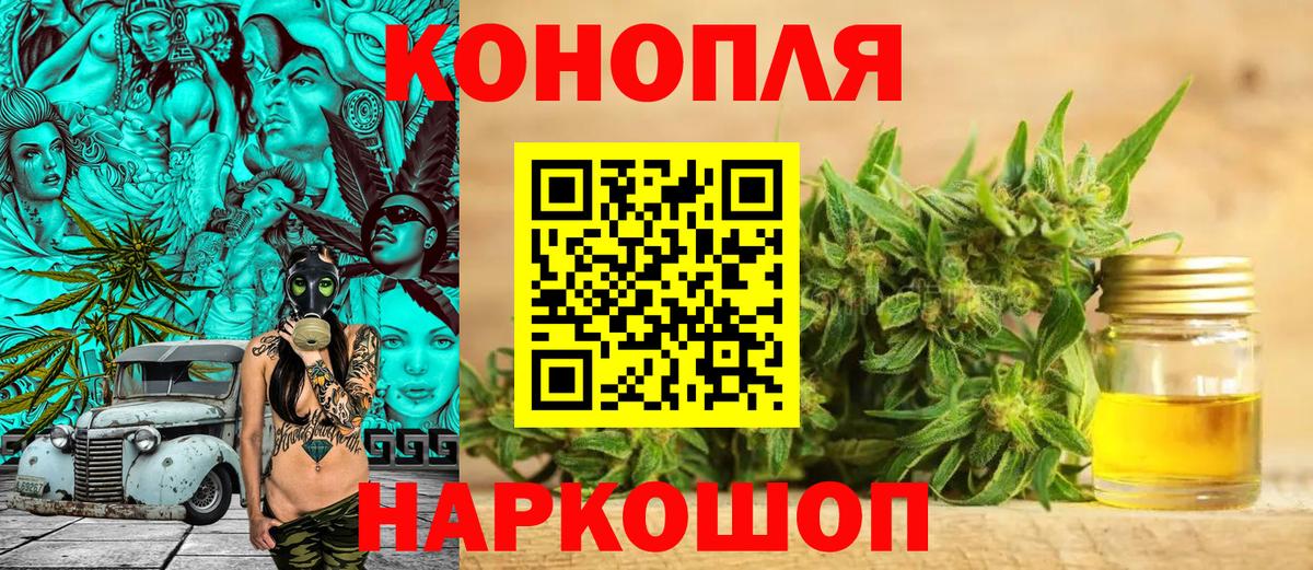 Бошки марихуана OG Kush Зерноград